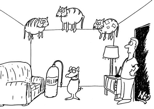 A dog has inflated the family cats with helium and they are floating on the roof.