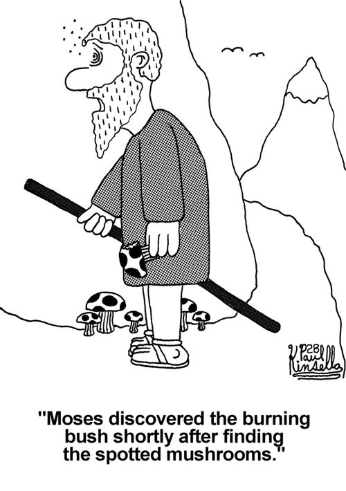 'Moses discovered the burning bush shortly after finding the spotted mushrooms.'