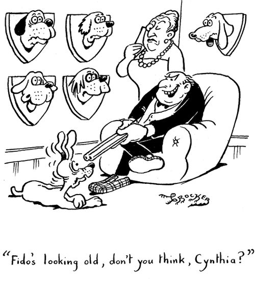 'Fido's looking old, don't you think, Cynthia?'