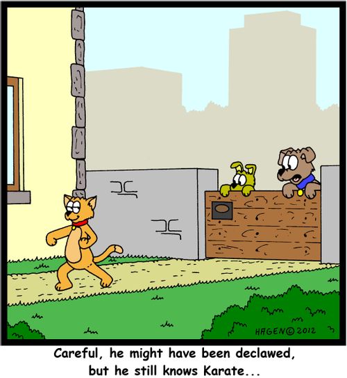 'Careful, he might have been declawed, but he still knows Karate...'