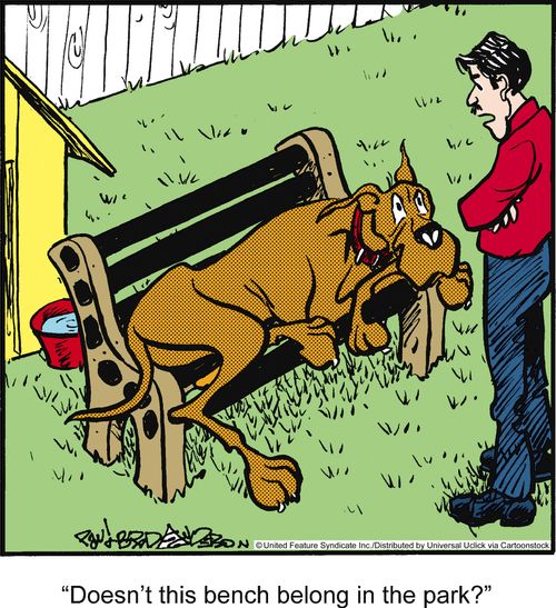 'Doesn't this bench belong in the park?'