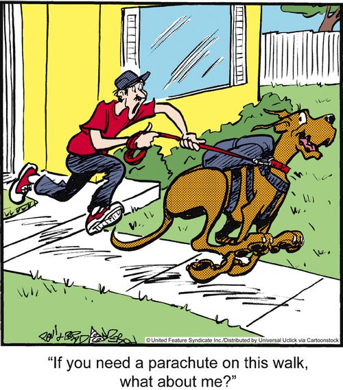 'If you need a parachute on this walk, what about me?'