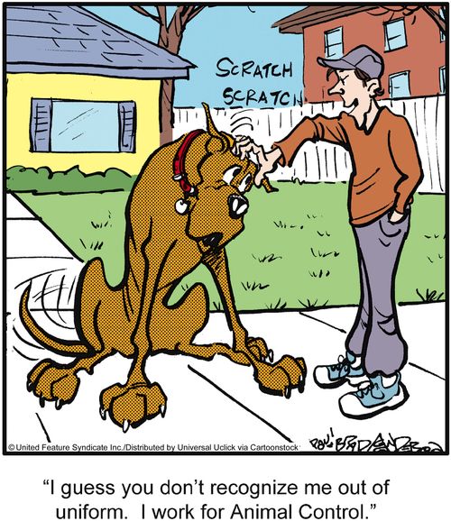 'I guess you don't recognize me out of uniform. I work for Animal Control.'