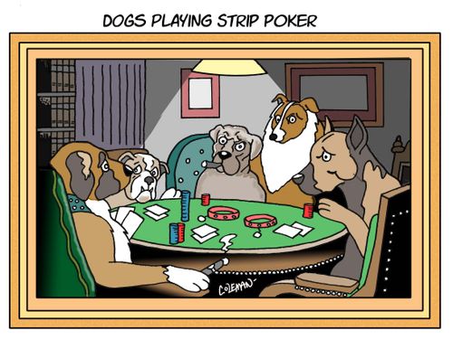 Dogs playing strip poker.