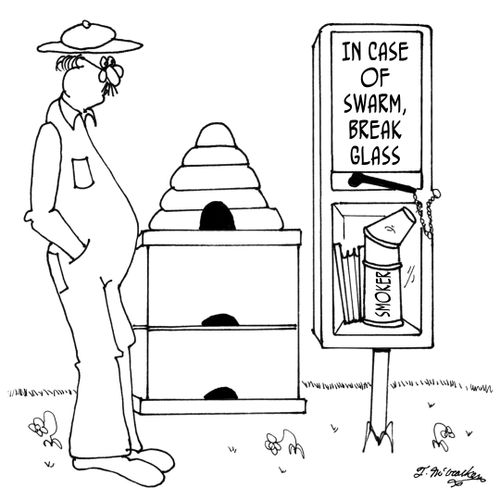 'In Case of Swarm, Break Glass.'