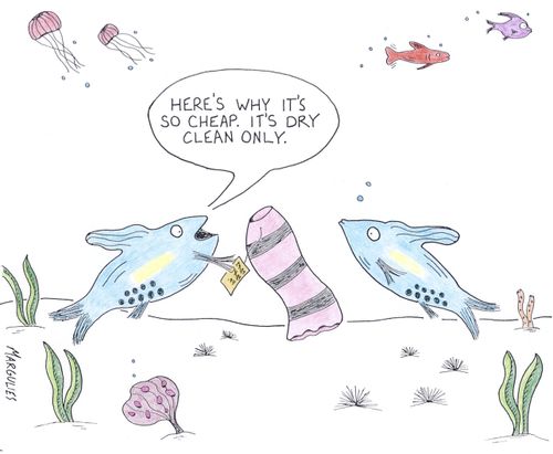 'Here's why it's so cheap. It's dry clean only.'