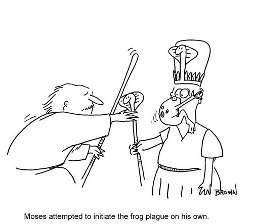 Moses attempted to initiate the frog plague on his own.
