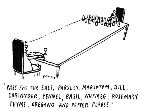 'Pass me the salt, parsley, marjoram, dill, coriander, fennel, basil, nutmeg, rosemary, thyme, oregano, and pepper please.'