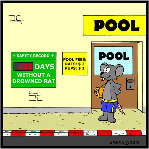Safety Record: 452 Days without a Drowned Rat.