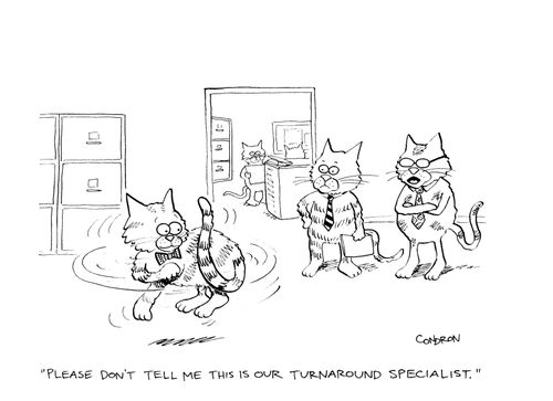 'Please don't tell me this is our turnaround specialist.'