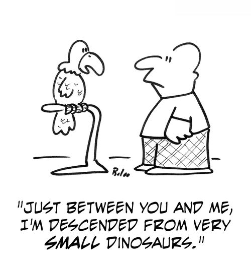 'Just between you and me, I'm descended from very small dinosaurs.'