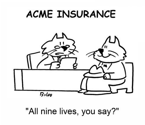'All nine lives, you say?'
