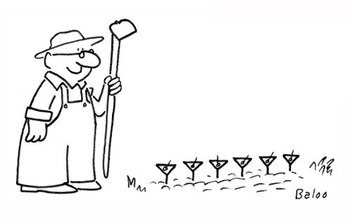 Executive grows martinis in his garden.