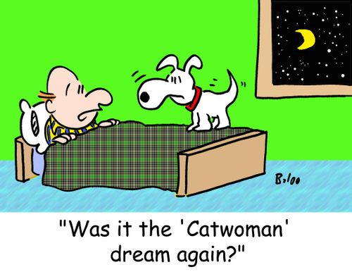 'Was it the 'Catwoman' dream again?'