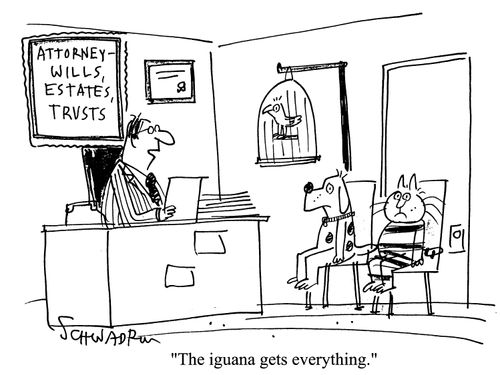 Pets in Attorney's office - 'The iguana gets everything.'