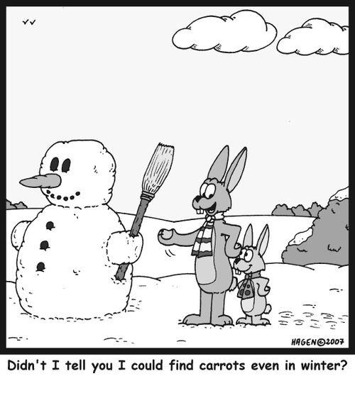 'Didn't I tell you I could find carrots even in winter?'
