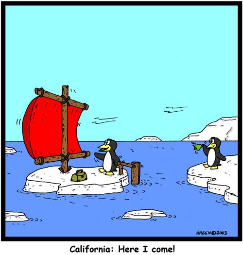 'California: Here I come!'