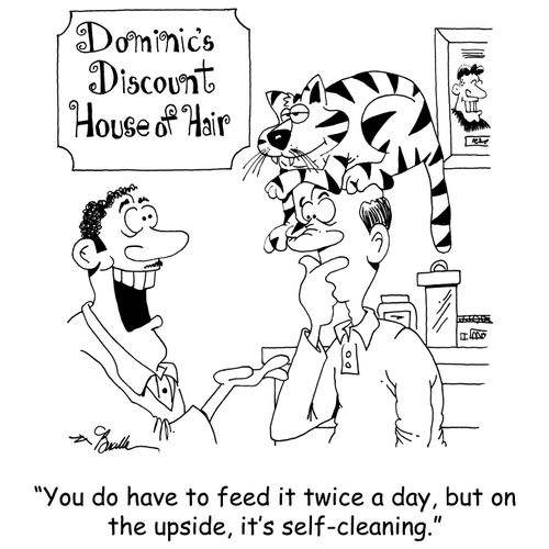 'You do have to feed it twice a day, but on the upside, it's self-cleaning.'