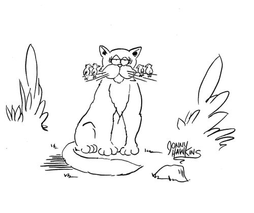 Cat has birds on whiskers,