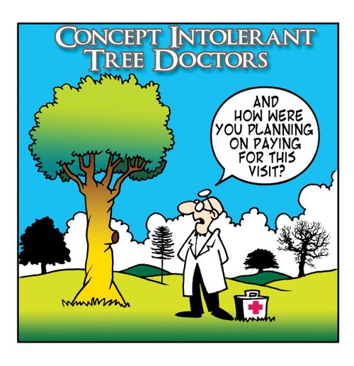 The tree doctor.