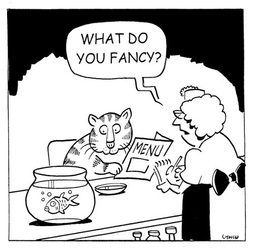 What do you fancy?