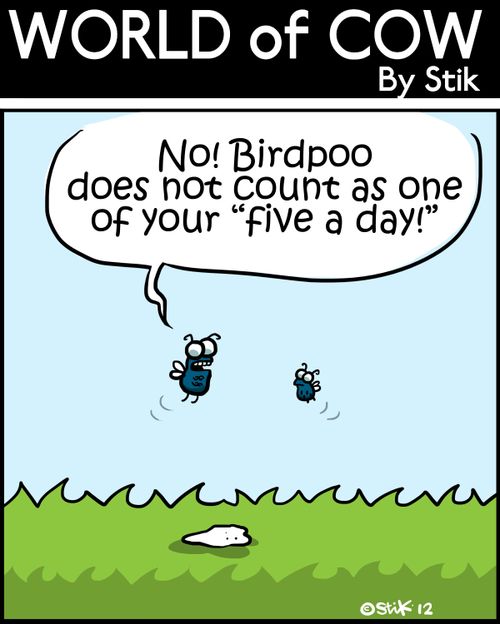 'No! Birdpoo does not count as one of your 'five a day!''