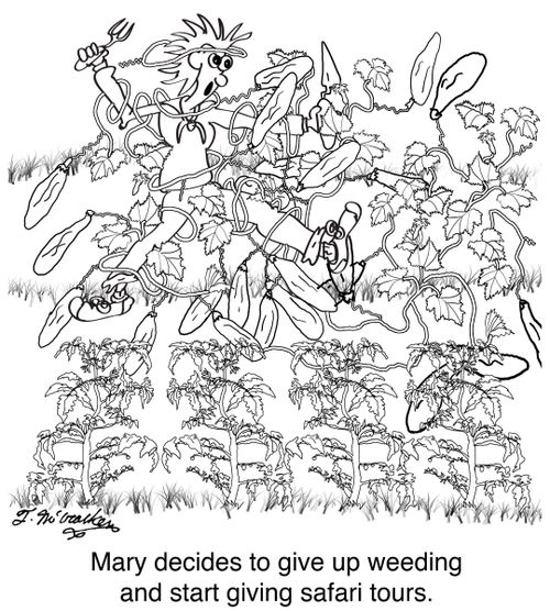 Mary decides to give up weeding and start giving safari tours.