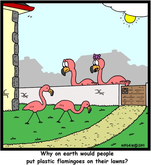 'Why on earth would people put plastic flamingoes on their lawns?'