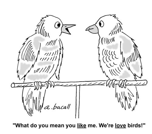 What do you mean, you like me. We're love birds!