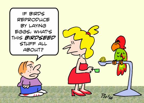 'If birds reproduce by laying eggs, what's this BIRDSEED stuff all about?'
