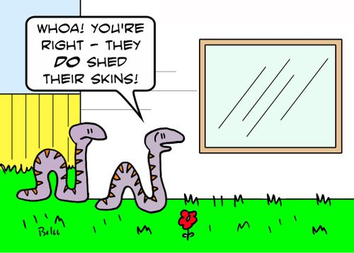 'Whoa! You're right - they DO shed their skins!'