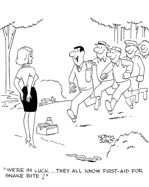 'We're in luck...they all know first-aid for snake bite!'
