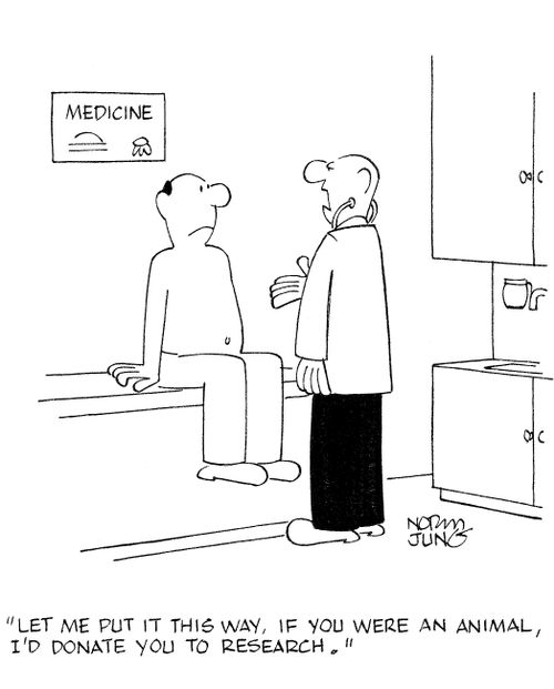'Let me put it this way, if you were an animal, I'd donate you to research.'