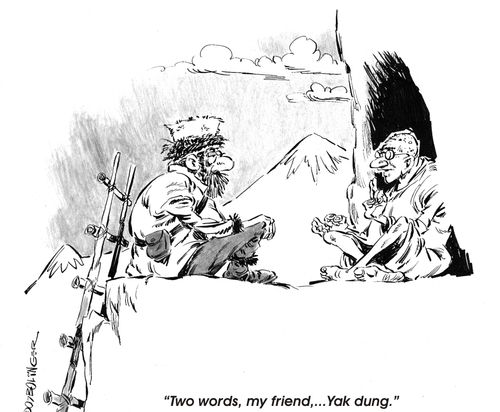 Two words, my friend...Yak dung.