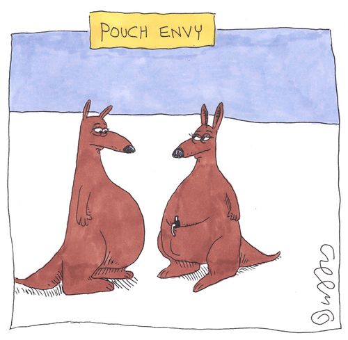 Pouch Envy.