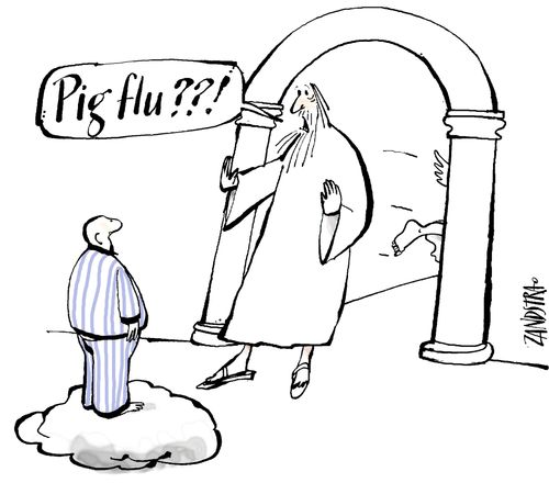 'Pig flu??!'