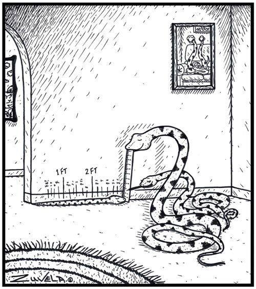 Two parent snakes measuring the growth pattern of their young one across the wall.