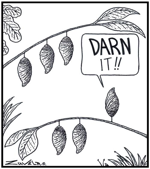 Pupa: 'DARN It!!' 