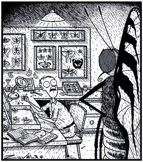  An angry giant Butterfly has finally found the Butterfly collector person who has his former smaller friends
