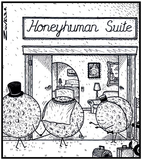 Honeyhuman Suite 