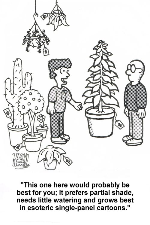 'This one here would probably be best for you; It prefers partial shade, needs little watering and grows best in esoteric single-panel cartoons.'