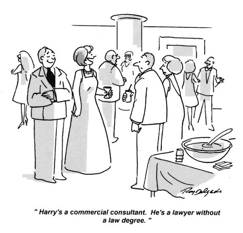 'Harry's a commercial consultant. He's a lawyer without a law degree.'