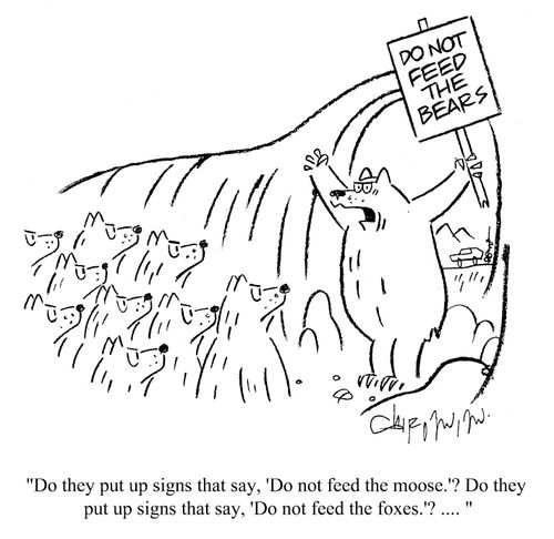 'Do they put up signs that say, 'Do not feed the moose.'?...'