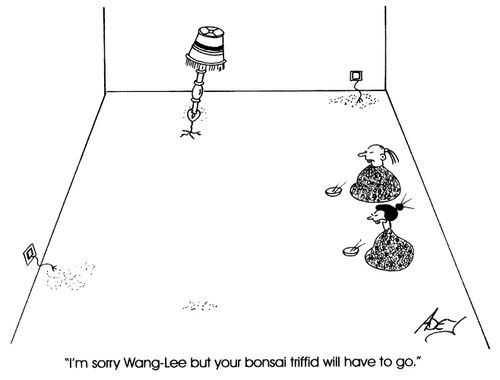 "I'm sorry, but your bonsai triffid will have to go."