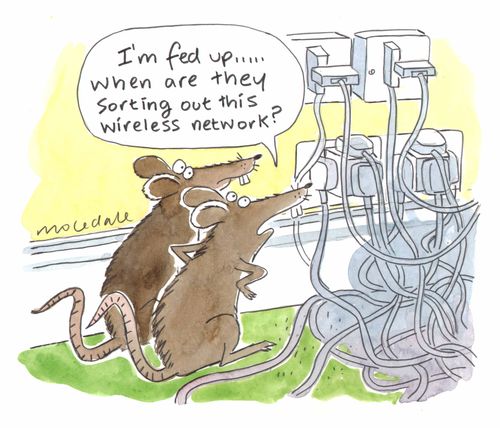 "I'm fed up... When are they sorting out this wireless network?"