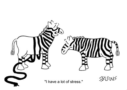 "I have a lot of stress"