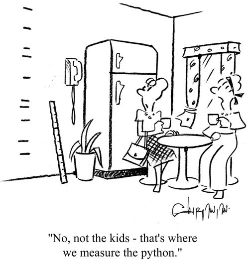 'No, not the kids - that's where we measure the python.'