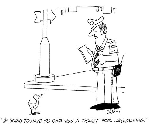 'I'm going to have to give you a ticket for jaywalking.'