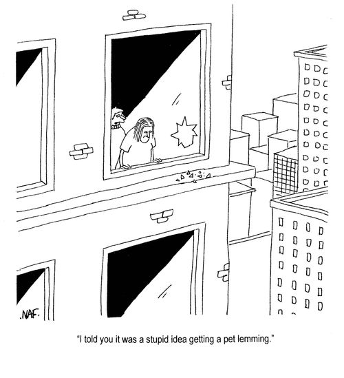 'I told you it was a stupid idea getting a pet lemming.'