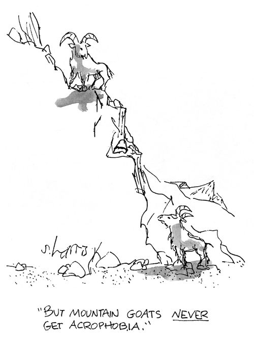 'But mountain goats never get agrophobia.'